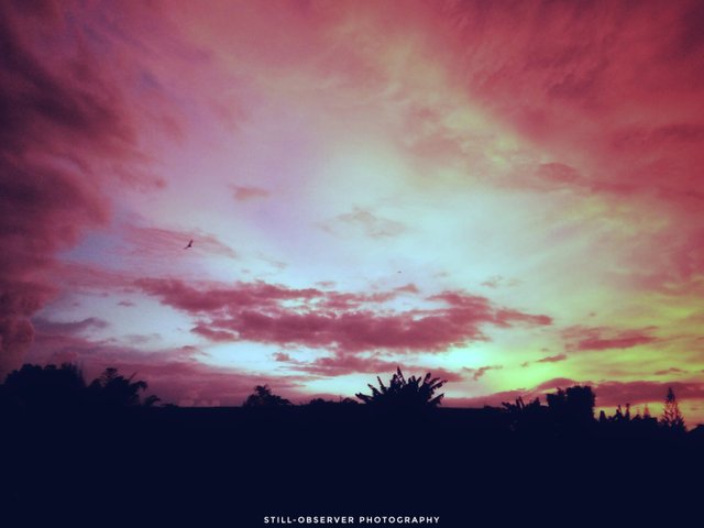 sunset aurora.jpeg