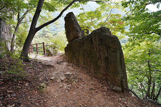 b-S260927-154503.jpg