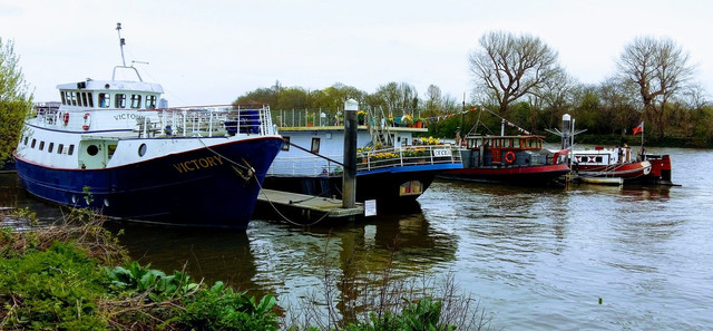 chiswick boats.jpg
