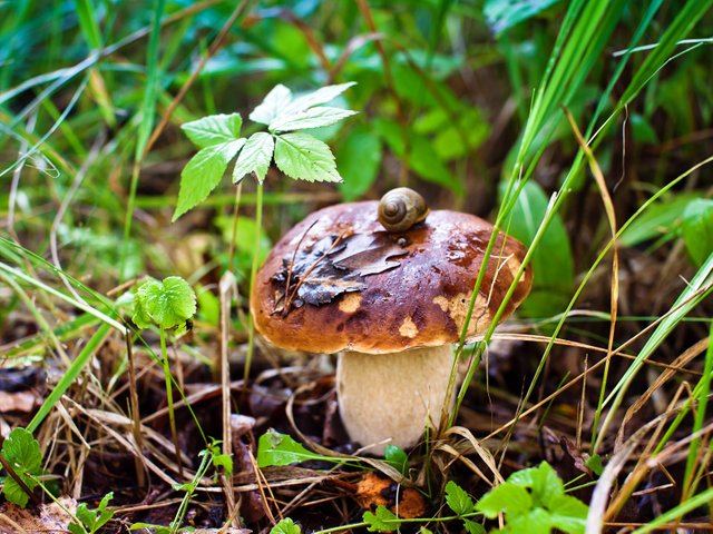 2021-ceps-0019w1.jpg