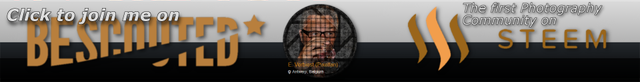 banner_bescouted.png