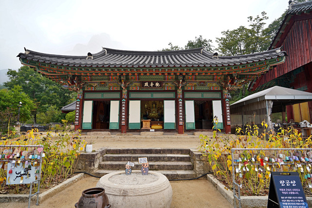 b-S260928-080333.jpg