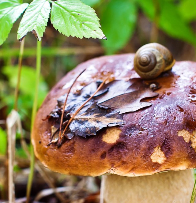 2021-ceps-0019w2.jpg