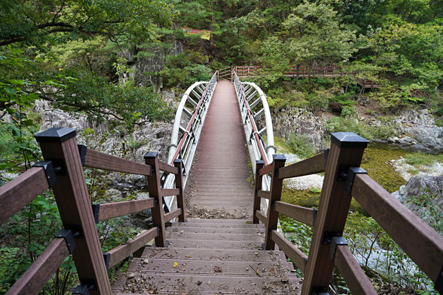 b-S260927-152309.jpg
