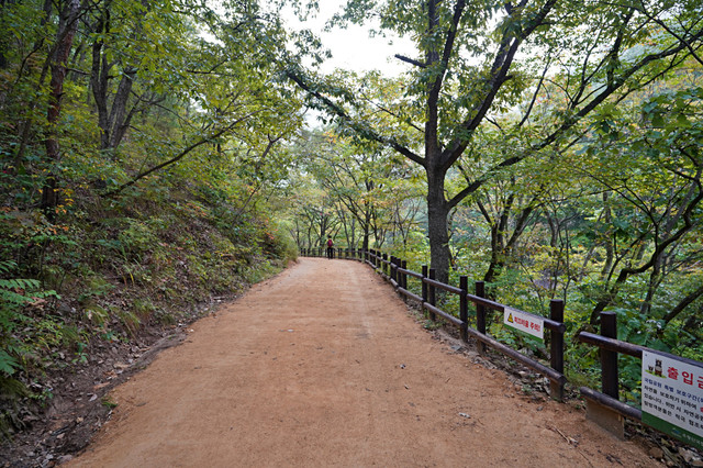 b-S260928-081210.jpg