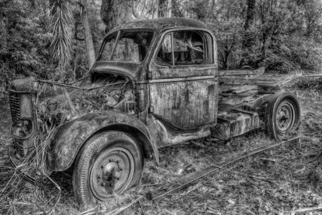 sideview truck.jpg