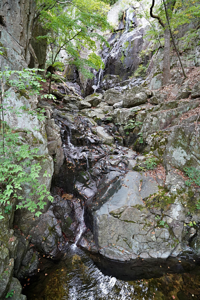 b-S260927-143054.jpg