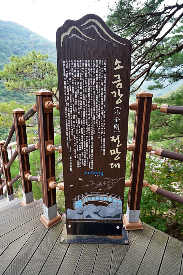 b-S260927-155100.jpg