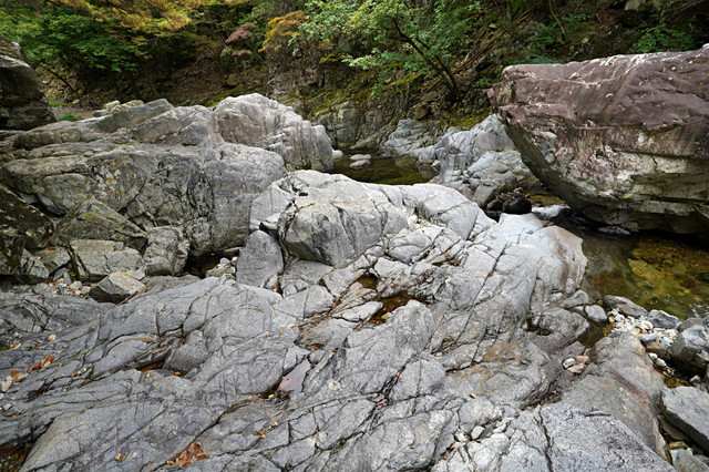 b-S260927-125647.jpg
