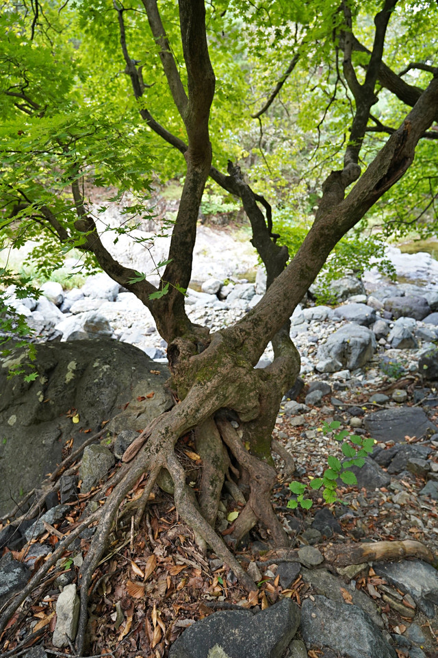 b-S260927-151944.jpg
