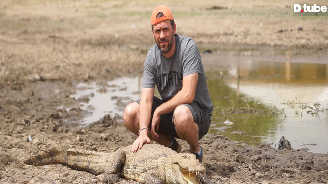 crocodile pond.png