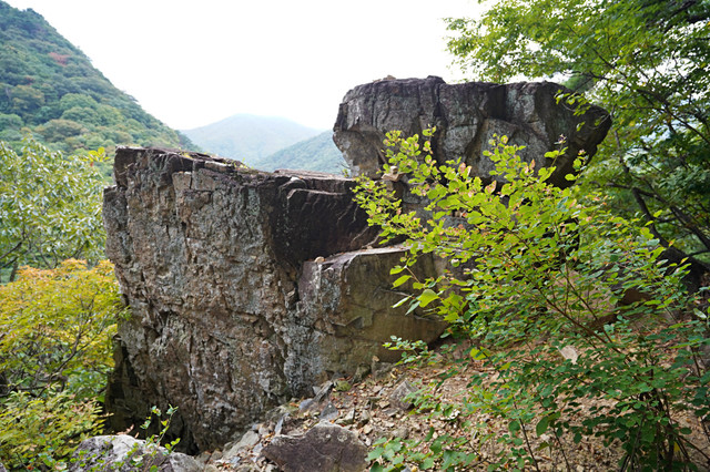 b-S260927-154519.jpg