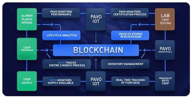 Pavo ecosystem.png