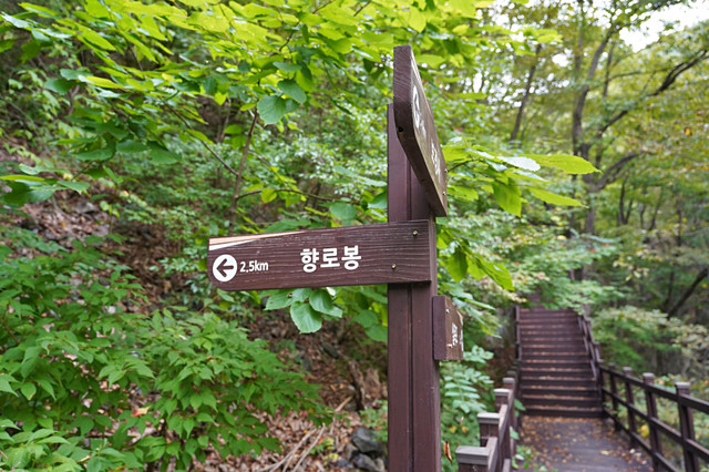 b-S260927-143802.jpg