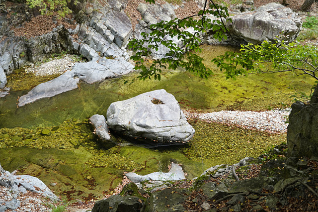 b-S260927-124656.jpg
