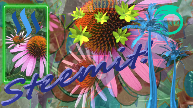 817 03 steem.png
