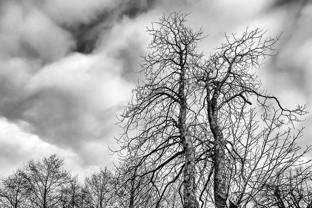 DSC_3685-BW-2-WE.png