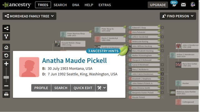 anatha ann anne maude pickell
