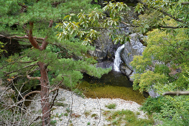 b-S260927-141859.jpg