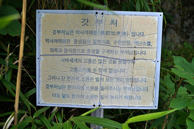 b-S260927-160634.jpg