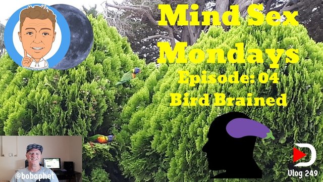 249 Mind Sex Mondays Episode 04 - Bird Brained Thm.jpg