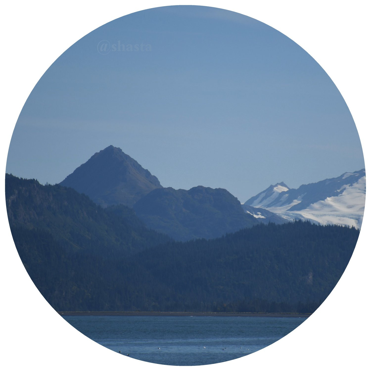 shasta2019jan14th47homer2io.jpg