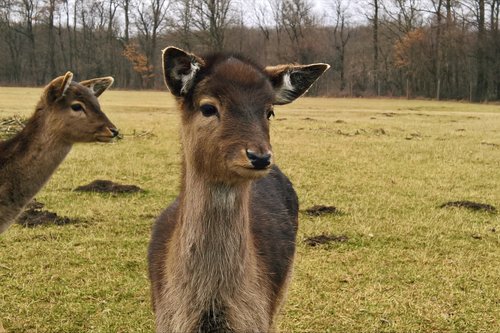 Kein Bild