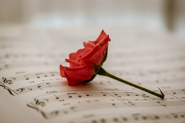 sheet-music-g85495e9cc_1920.jpg