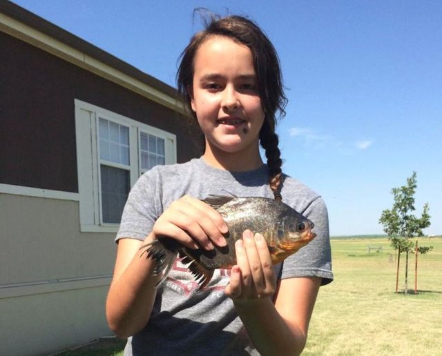 piranha_with_human_teeth_01.jpg