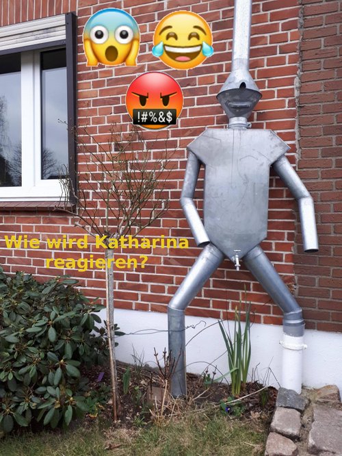 Kein Bild