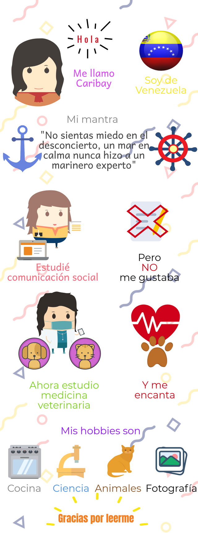 presentacion español.png