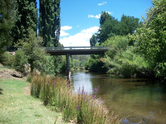 Myrtleford Ovens Bridge.JPG