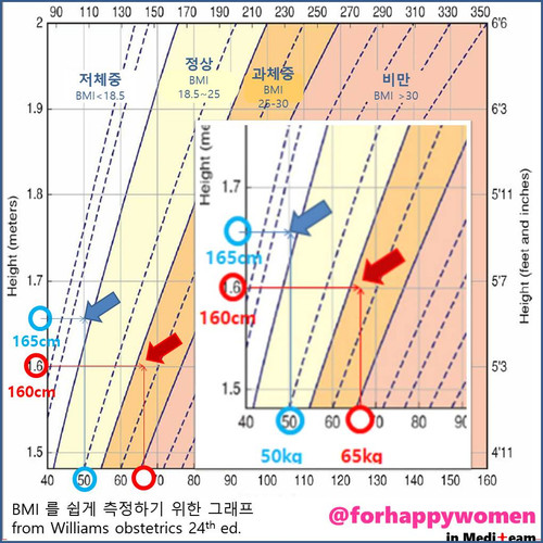 그래프.jpg