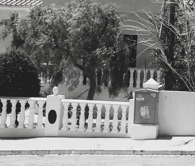 Building Photography B&W, Yellow Villa M.B, Garden Sideb Entry Close-up Treeside, June 12 2017.jpg