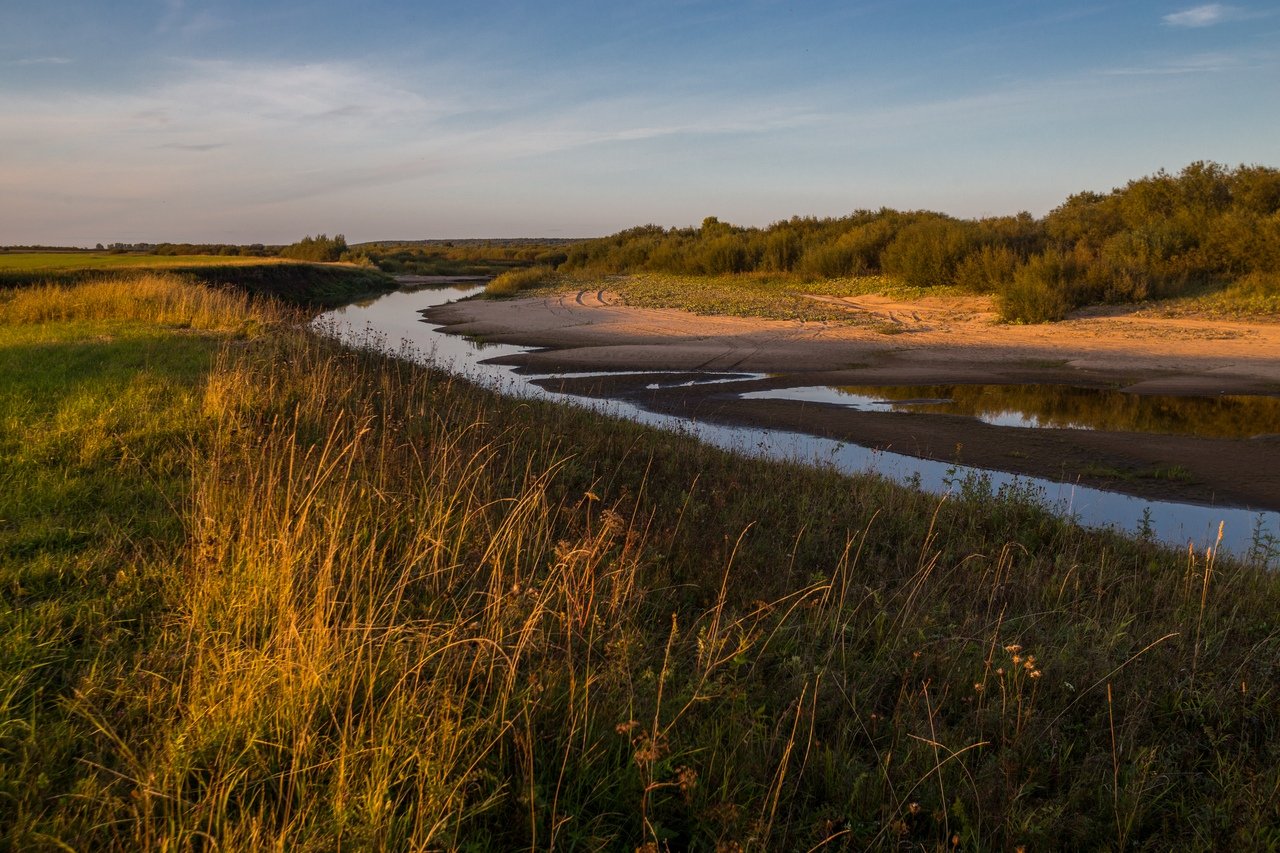 Река Северная Двина фауна