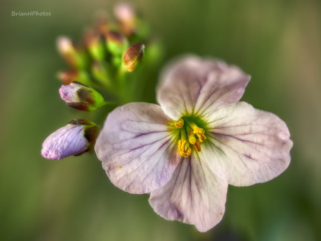 2021-04-19-16.45.54 ZS retouched_1.jpg