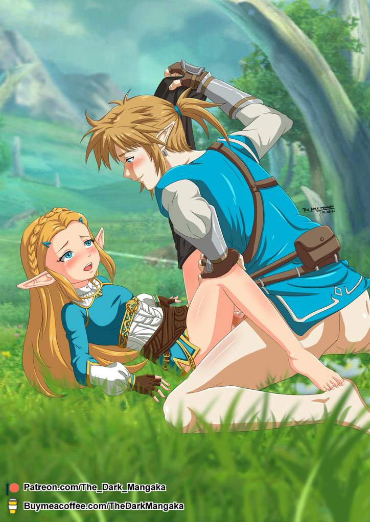 Zelda x Link - The Legend of Zelda.