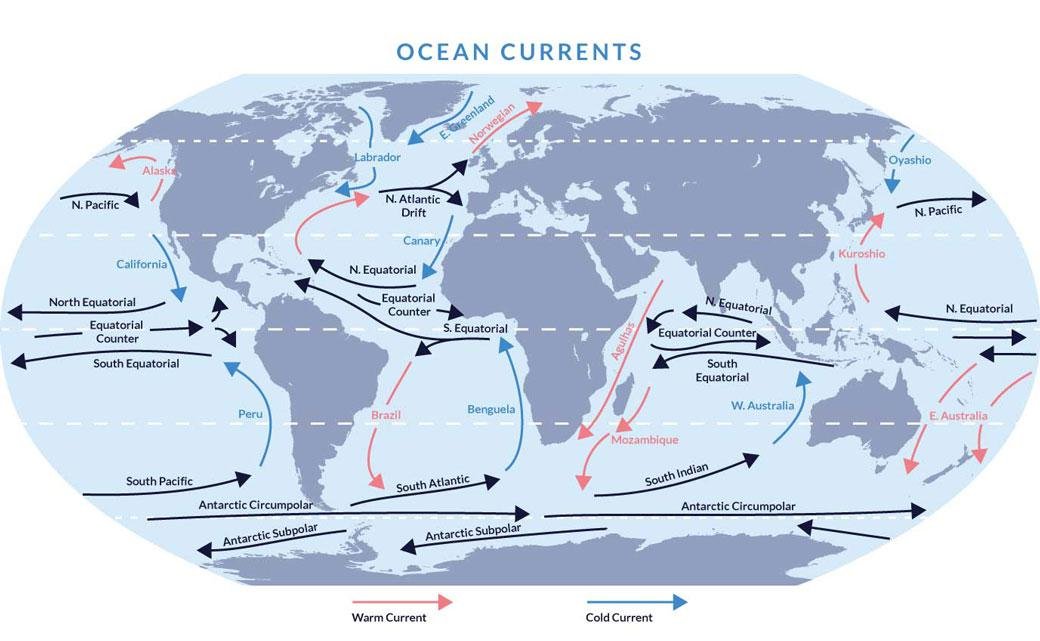 Направление ветровых течений. Северо-Тихоокеанское течение на карте мирового океана. Северо Тихоокеанское течение на контурной карте.