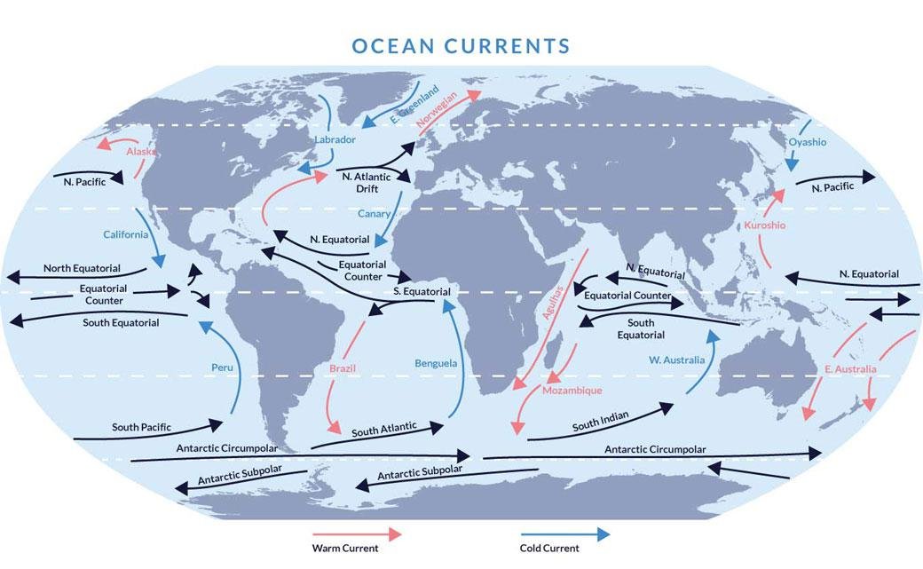 Теплые течения австралии. Северо-Тихоокеанское течение на карте мирового океана. Где находится Северо Тихоокеанское течение на карте. Холодное течение Курило Камчатское. Северо Тихоокеанское течение на карте мира.