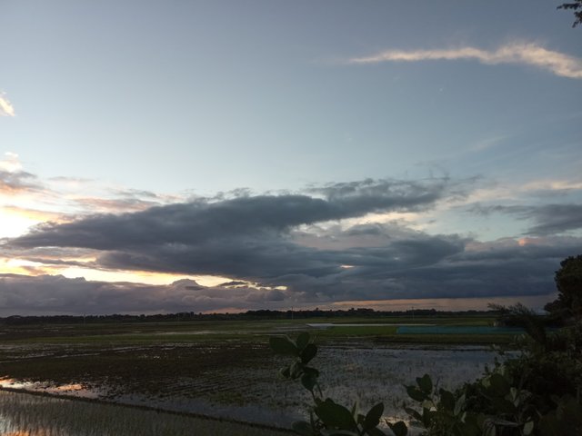 IMG_২০২২০৮০৯_১৮৪১৫৫.jpg