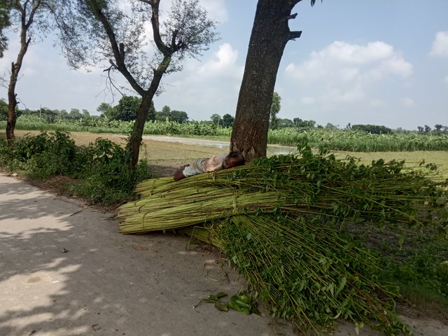 IMG_২০২২০৮২৫_১৪১৯১০.jpg