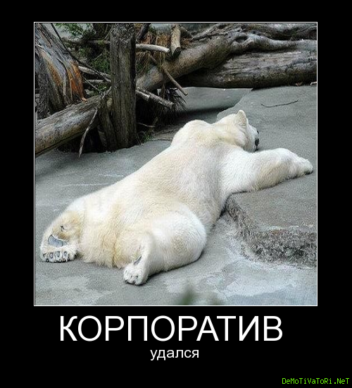 Корпоратив приколы картинки. Корпоратив приколы. Корпоратив картинки прикольные. Про корпоратив прикольные. Шутки про корпоратив.