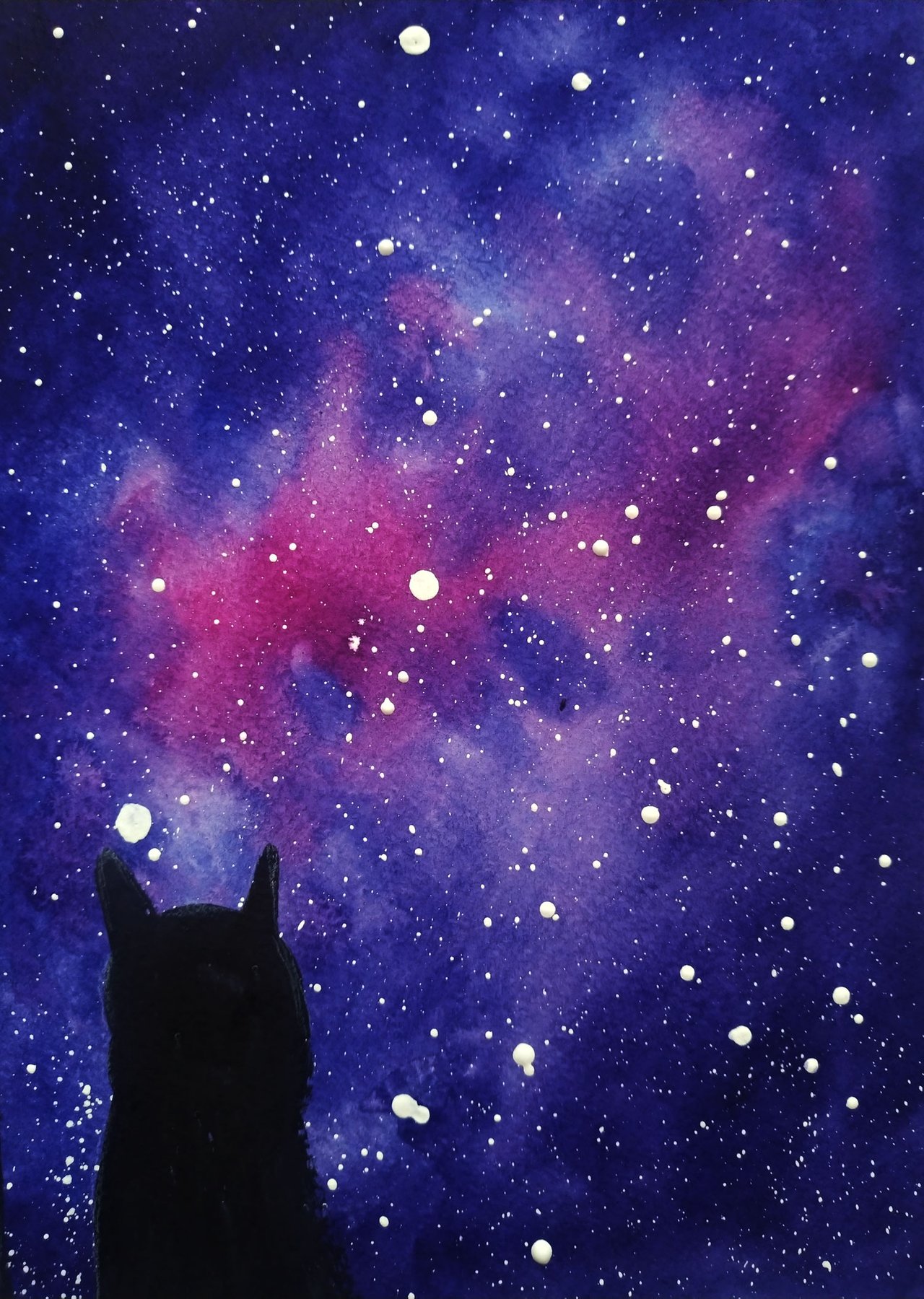 Кот на фоне звездного неба