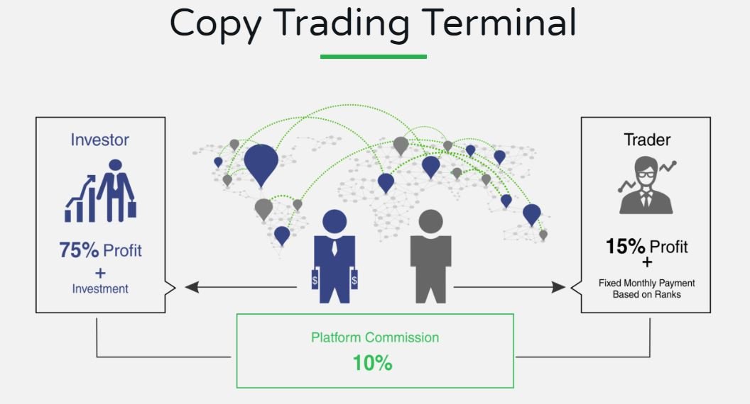 Trade copy. Копи трейдинг. Трейдер в профит. Crypto copy trading platforms. Copy trading Design.
