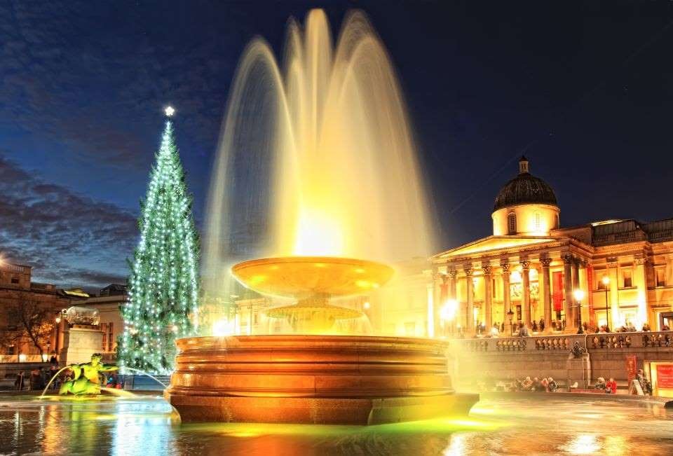 Trafalgar square christmas tree