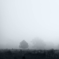 21690683_119302518773038_5543284323513270272_n(1).jpg