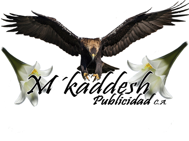 Brorrador 1 Mekaddesh Publicidad-Recuperado.png