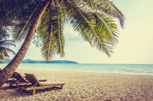 caribbean-coconut-holiday-landscape-sea_1203-5230.jpg