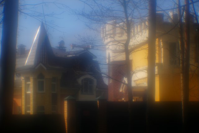 DSC01459.jpg