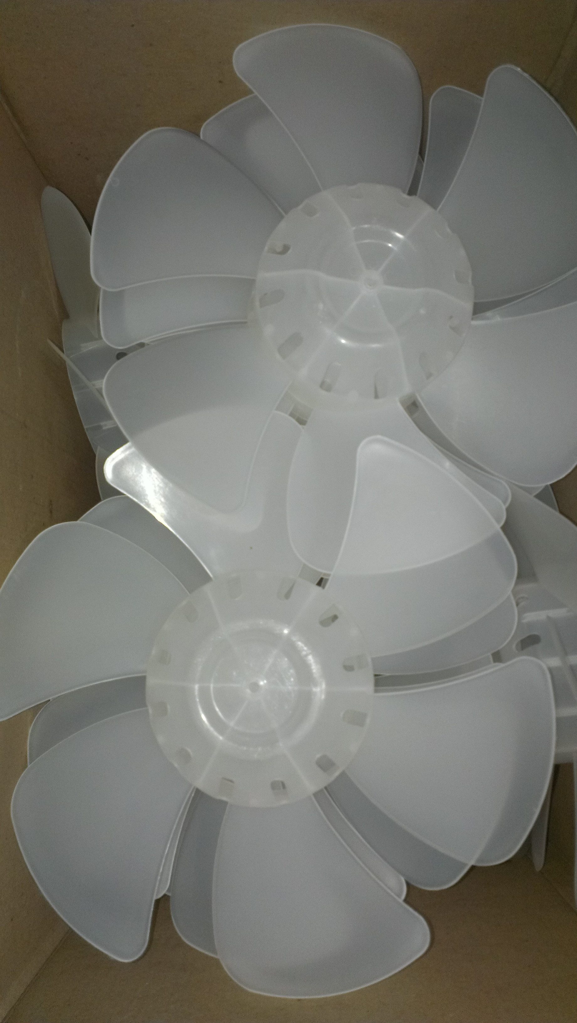 IMAG0427.jpg